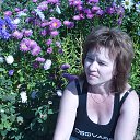 ���� ����, ������, 63 ���� - ��������� 28 ������� 2016 � ������ ���� ����������