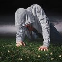 ���� Zoro, ��������, 53 ���� - ��������� 5 ��� 2016 � ������ ���� ����������