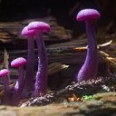 ���� Eric, ����, 61 ��� - ��������� 18 ������ 2016 � ������ ������ ��������