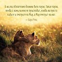 ���� �������, ������, 46 ��� - ��������� 15 ���� 2016 � ������ ������ ��������