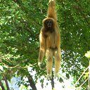 ���� ������, ������������, 69 ��� - ��������� 21 ������� 2016 � ������ ��������