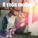 ���� �������, ������������, 32 ���� - ��������� 2 ������� 2016 � ������ ������ ��������