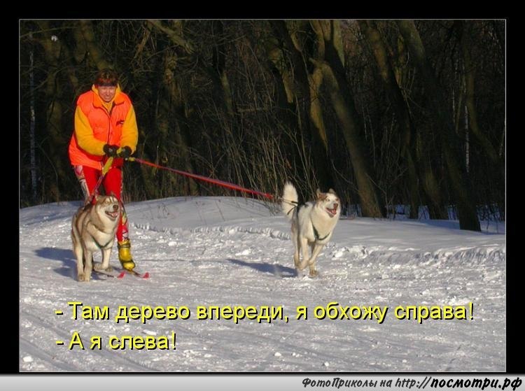 Без кота и жизнь не та - 11 марта 2016 в 03:01