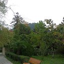  , , 35  -  12  2016   Vacation Abkhazya 2014 November