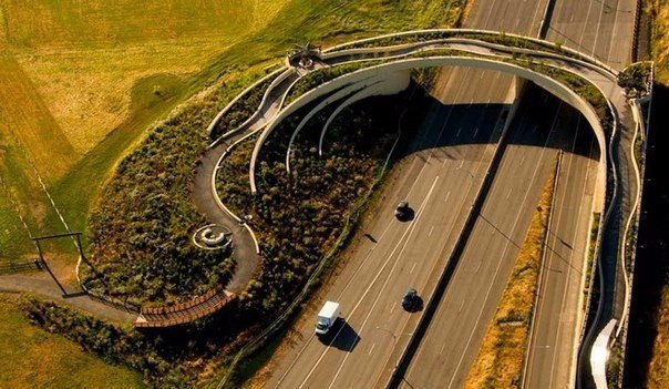   .   (Vancouver Land Bridge)    ... - 6