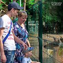 ���� ����, ���������, 61 ��� - ��������� 3 ������� 2016 � ������ ���� ����������