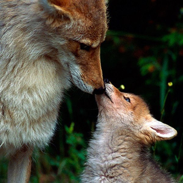  ! - 17  2016  13:58 - 6