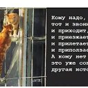 ���� �����, ���������, 61 ��� - ��������� 18 ���� 2016 � ������ ������ ��������