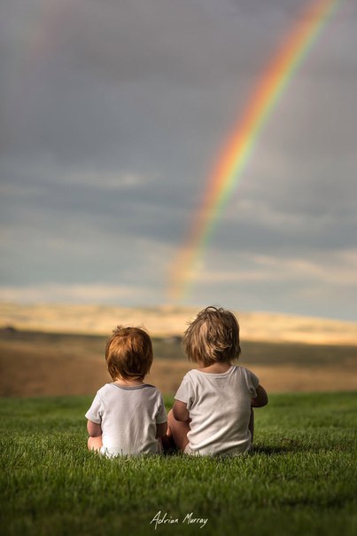     Adrian C. Murray - 6