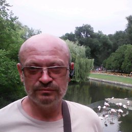 , --, 53 