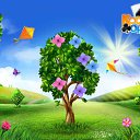 ���� ��������, ��������, 65 ��� - ��������� 30 ��� 2016 � ������ �������� �������-�������