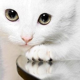 A����, ������