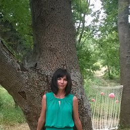 ���� �����, ����������� - ��������� 2 ������� 2016