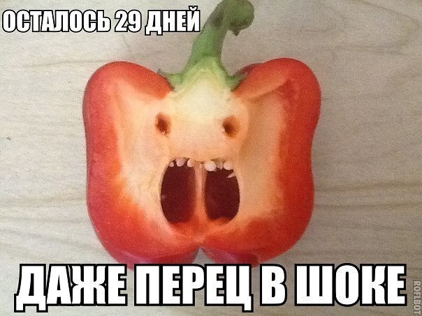 ☆   ☆ - 3  2016  14:09