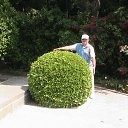 ���� ��������, ���� - ��������� 25 ������� 2016 � ������ ���� ����������