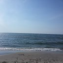 ���� ��������, �����������, 51 ��� - ��������� 12 ���� 2016 � ������ ���� ����������