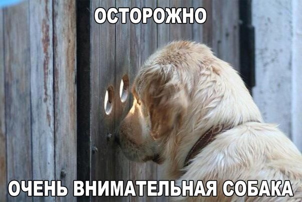    :D - 7  2016  02:32