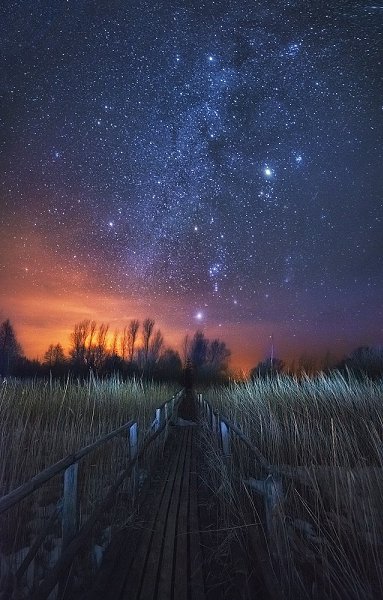Мы приходим в мир Природы, Чтоб когда-нибудь туда же и уйти, Чтоб дарили небесные своды Нам открытия ...