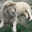 ���� ���, ���, 65 ��� - ��������� 19 ��� 2016