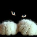 ���� Aliksaydr, ������, 49 ��� - ��������� 16 ������ 2016