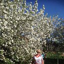 ���� �����, ������ �������, 70 ��� - ��������� 13 ��� 2016 � ������ ���� ����������