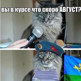 ���� ����, ������� ����� - ��������� 31 ���� 2016