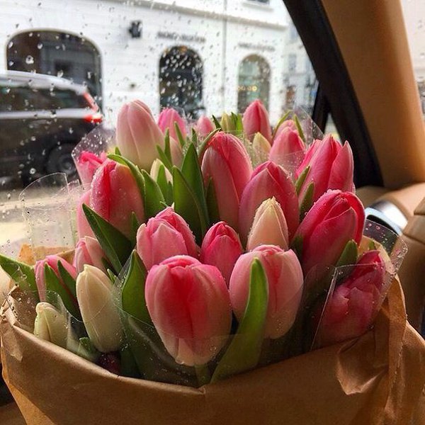 Действия всегда доказывают, что слова ничего не значат