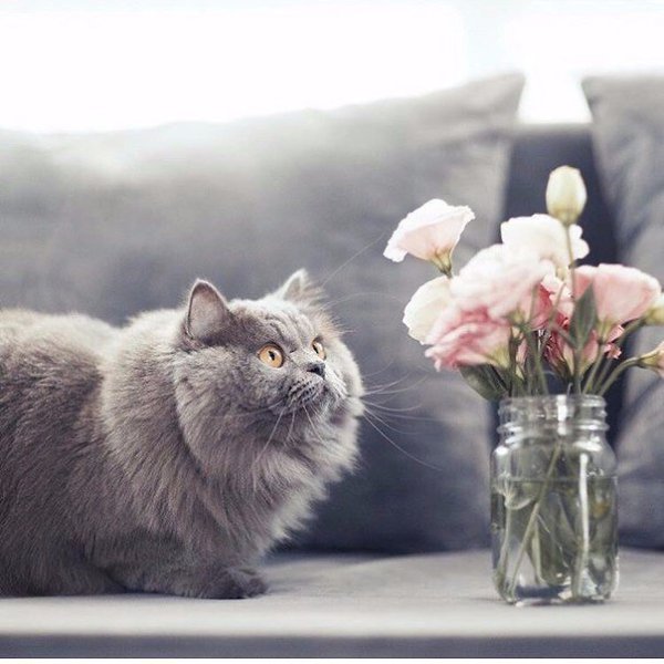       - 28  2016  04:30 - 3