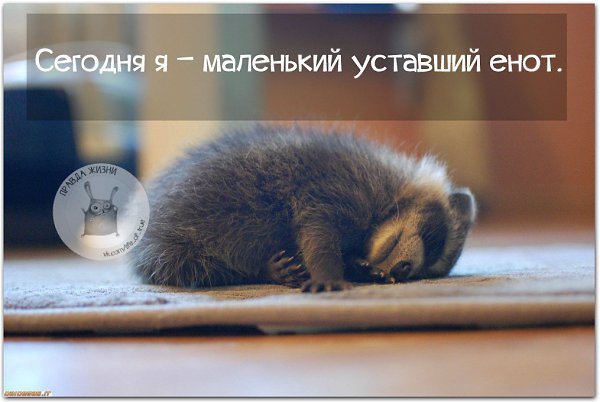   - 5  2016  11:17