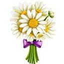 ���� ���������, ������, 43 ���� - ��������� 27 ���� 2016 � ������ ���� ������Ȼ