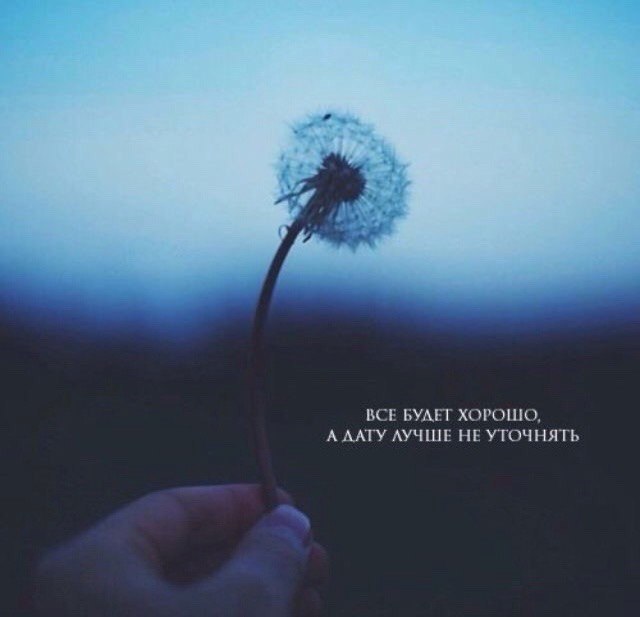 The Lady - 11  2016  17:05