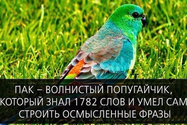   - 2  2016  00:29