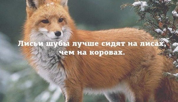    !))0)^_^ - 23  2016  18:37