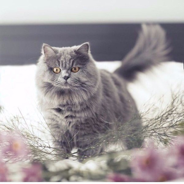       - 28  2016  04:30 - 4