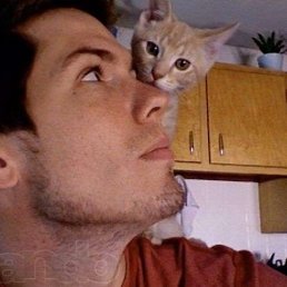 ����, ������, 46 ���