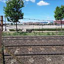 ���� Roli, ��������, 52 ���� - ��������� 14 ���� 2016 � ������ ���������