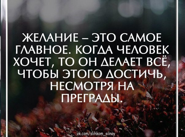  ,  .© - 11  2016  14:10