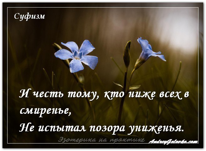    TV - 24  2016  01:04