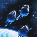 ���� ������, ���������, 51 ��� - ��������� 31 ������� 2016 � ������ ���� ����������