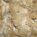 ��� �� ���� � �� ����. ��� ������ �����. �� ������� �����-�������� ������.�