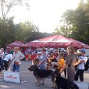 � ����� �� ����������� �� ������� ��������� 27 ������� 2016�