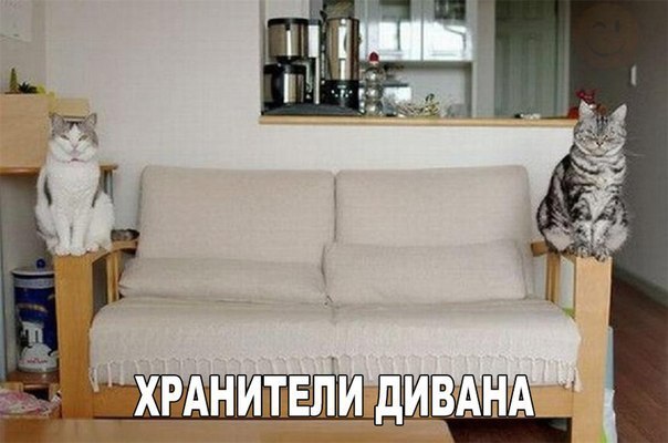    :D - 30  2016  00:33