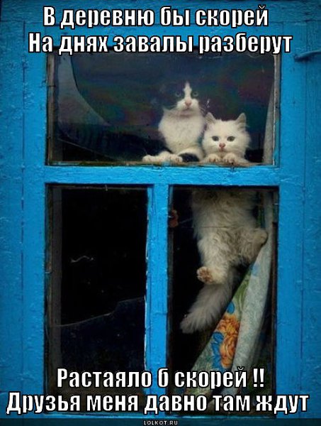  )) - 16  2016  12:22