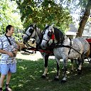 ���� Slobodan, �������, 71 ��� - ��������� 31 ������� 2016 � ������ ���� ����������