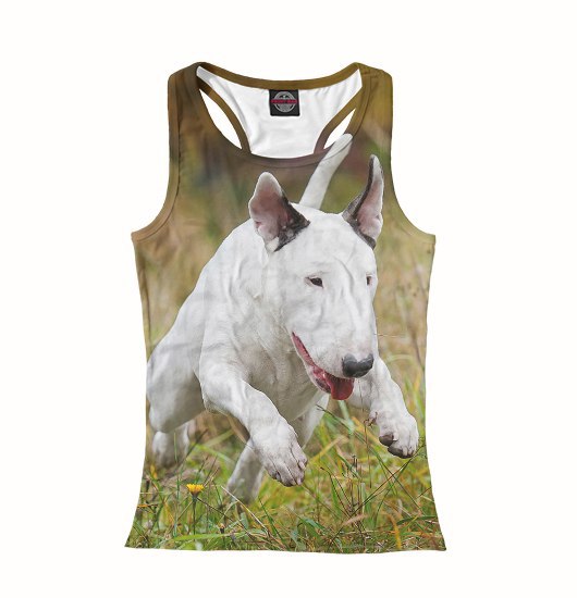 Дорогие друзья! Представляем