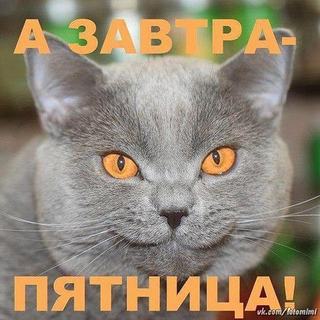 .....