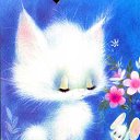  ,  -  11  2016    Ȼ