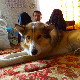 ���� ����, ������������, 55 ��� - ��������� 11 ���� 2016