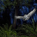 ���� ������..., ������, 55 ��� - ��������� 15 ������� 2016 � ������ ������ ��������