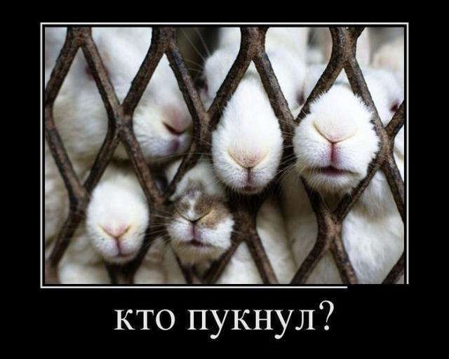 ***Victoria Viktorovna*** - 22  2016  11:40